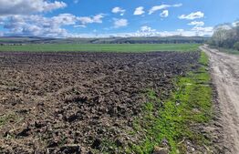 Teren de vânzare Sacele - 135165TV | BLITZ Brașov | Poza2