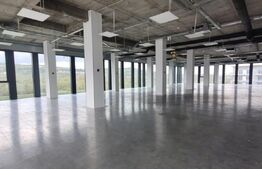 Spațiu birouri de închiriat Grigorescu - 145066SIB | BLITZ Cluj-Napoca | Poza3