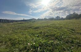 Teren de vânzare Făget - 143790TV | BLITZ Cluj-Napoca | Poza5