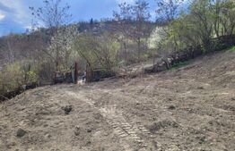 Teren de vânzare Apahida - 150433TV - Poza 1 din 1 | BLITZ Cluj-Napoca | Poza10