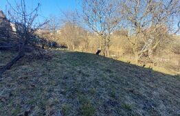 Teren de vânzare Floreşti - 149498TV | BLITZ Cluj-Napoca | Poza5