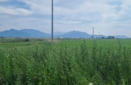 Teren de vânzare Sacele - 135165TV | BLITZ Brașov | Poza1