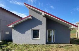 Casa de vânzare 3 camere Dezmir - 62026CV | BLITZ Cluj-Napoca | Poza4