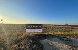 Teren de vânzare Sud - 162079TV - Poza 2 din 2 | BLITZ Craiova | Poza7