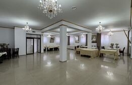 Spațiu comercial de vânzare Brazda lui Novac - 167746SVC - Poza 3 din 6 | BLITZ Craiova | Poza4
