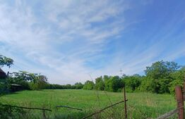 Teren de vânzare Nufarul - 163216TV | BLITZ Oradea | Poza1